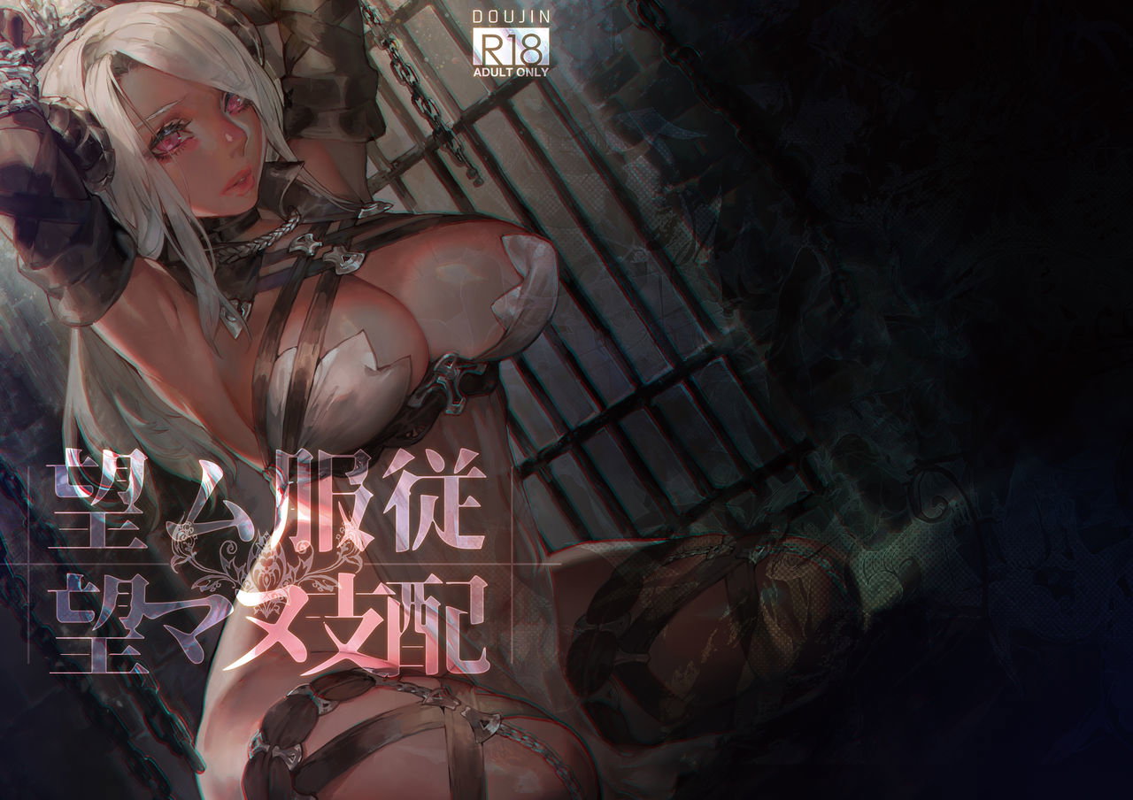 Voluntary servitude and involuntary domination - Trang 25