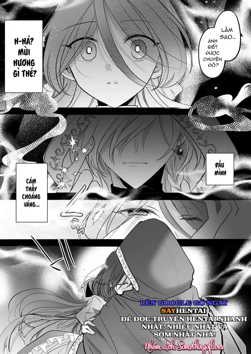 Tình cảm của một pháp sư - Trang 14