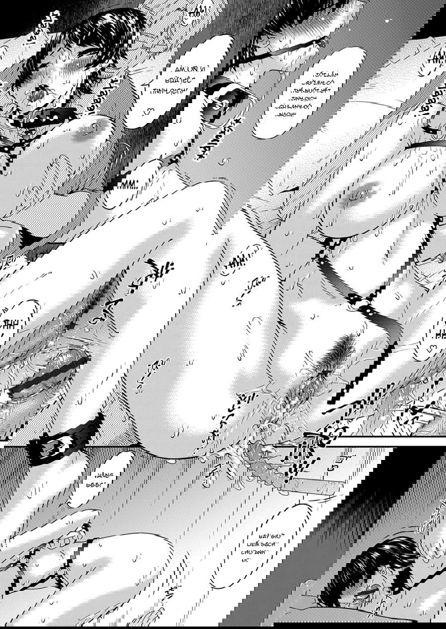 Cô Nô Lệ Theo Hợp Đồng - Trang 12