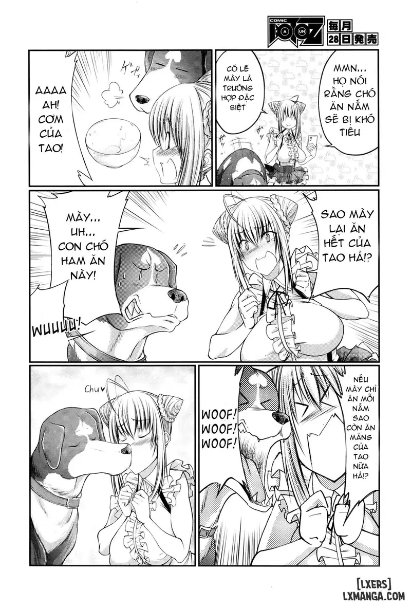 Kinoko Takenoko Mushroom Bamboo Shoot - Trang 2