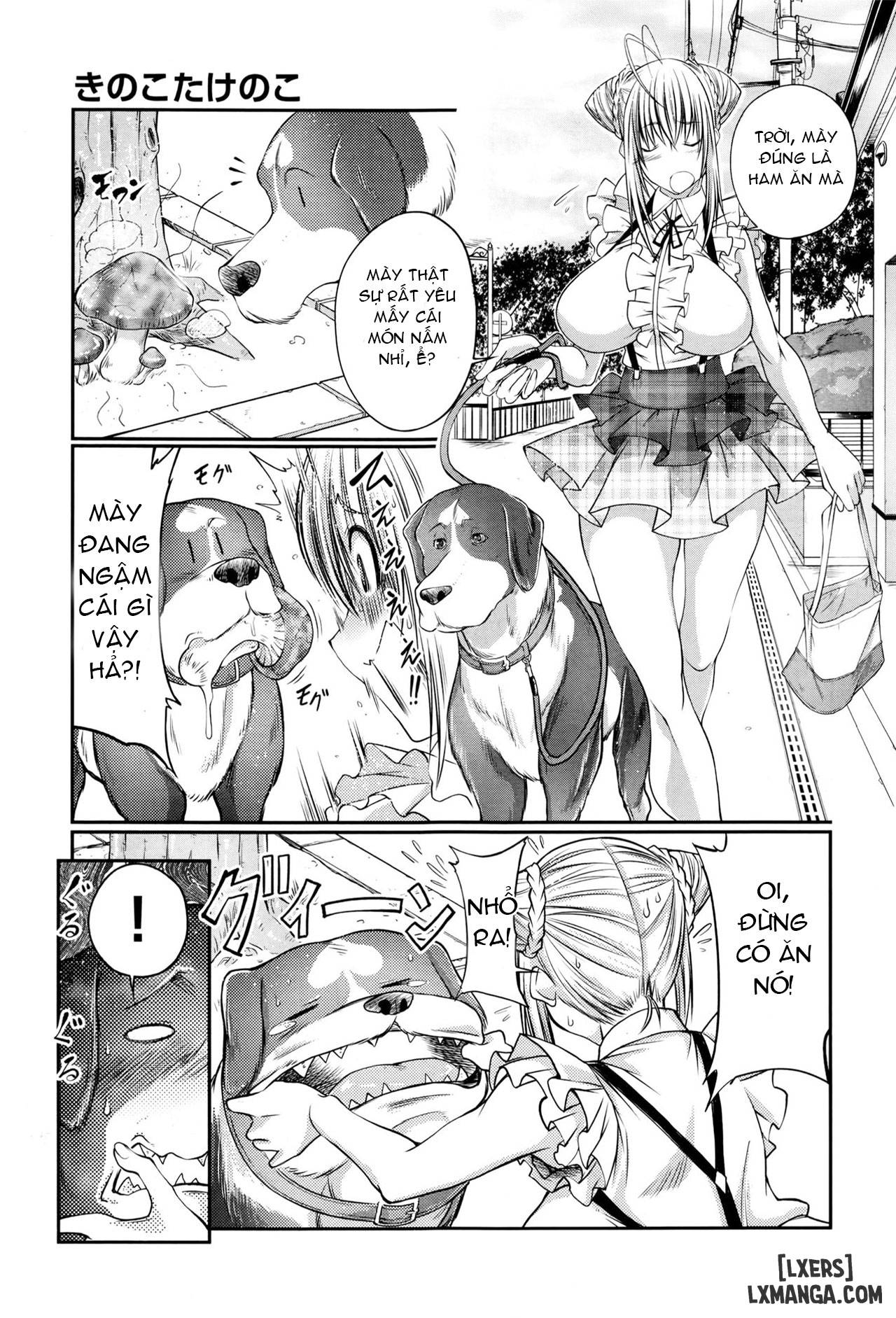 Kinoko Takenoko Mushroom Bamboo Shoot - Trang 3