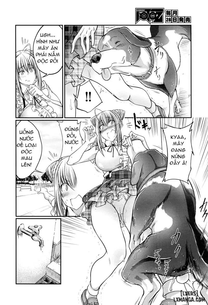 Kinoko Takenoko Mushroom Bamboo Shoot - Trang 4