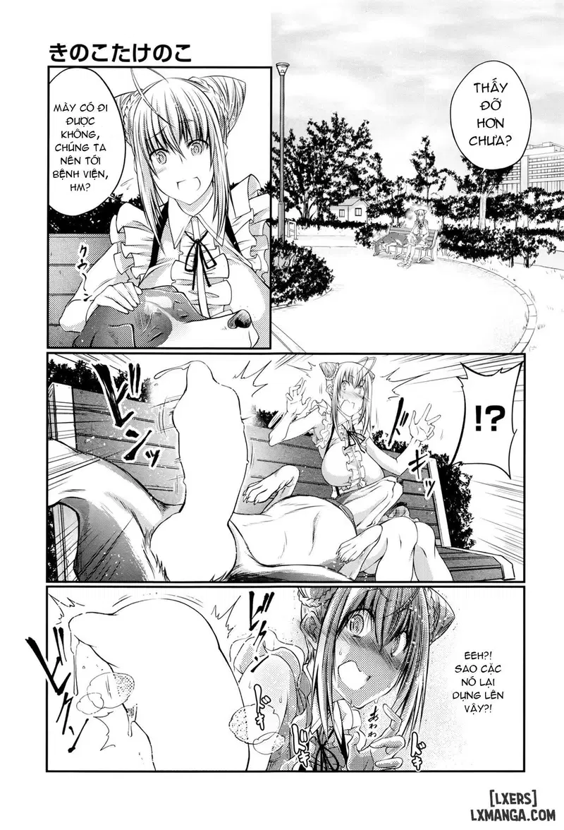 Kinoko Takenoko Mushroom Bamboo Shoot - Trang 5