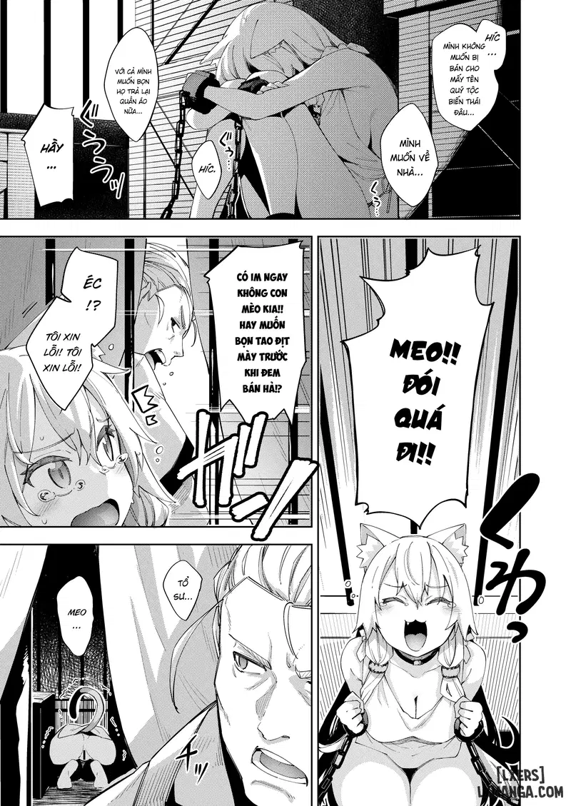 Đã đến thế giới khác thì tôi nghĩ mình cũng nên dùng ma thuật để làm mấy trò biến thái chứ nhỉ - Trang 6