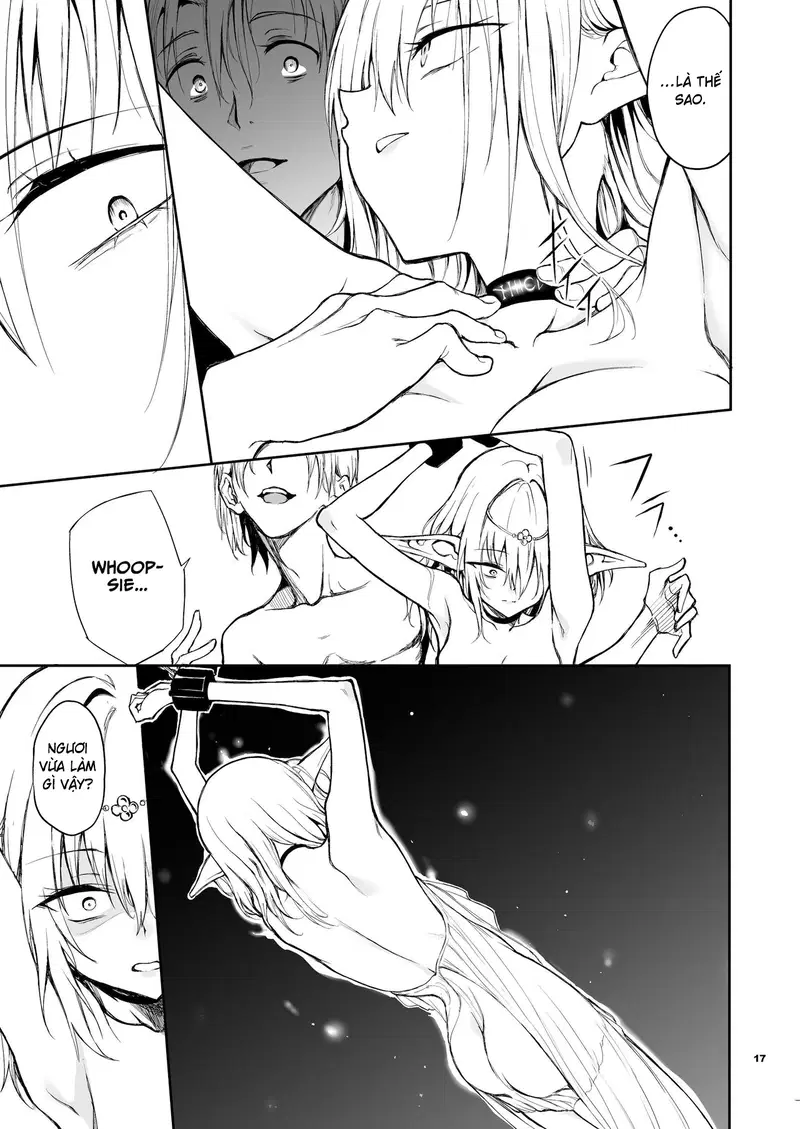 Giáo dục yêu tinh ~Mist, từ đất nước sụp đổ~ - Trang 17