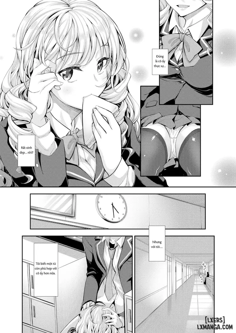 Bougainvillea - Trang 6