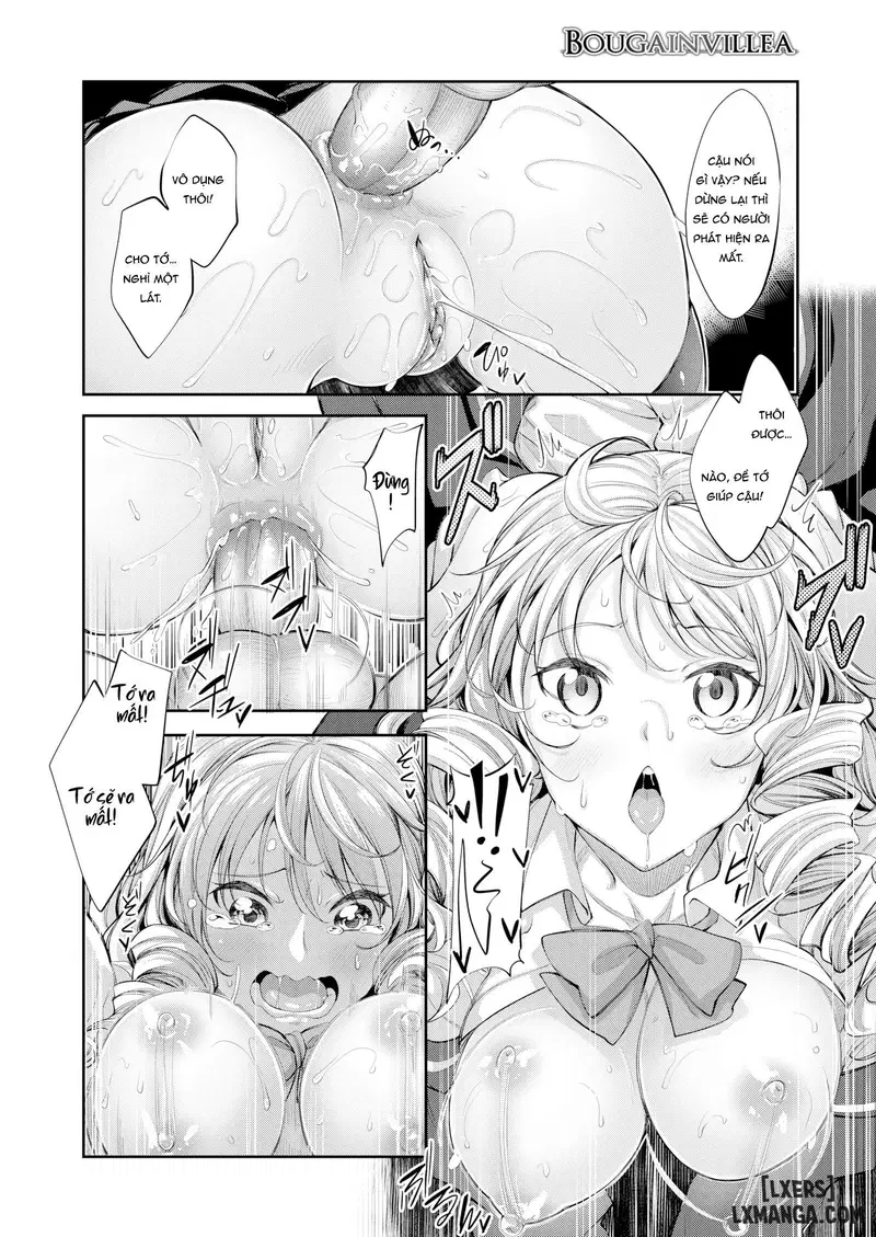 Bougainvillea - Trang 14