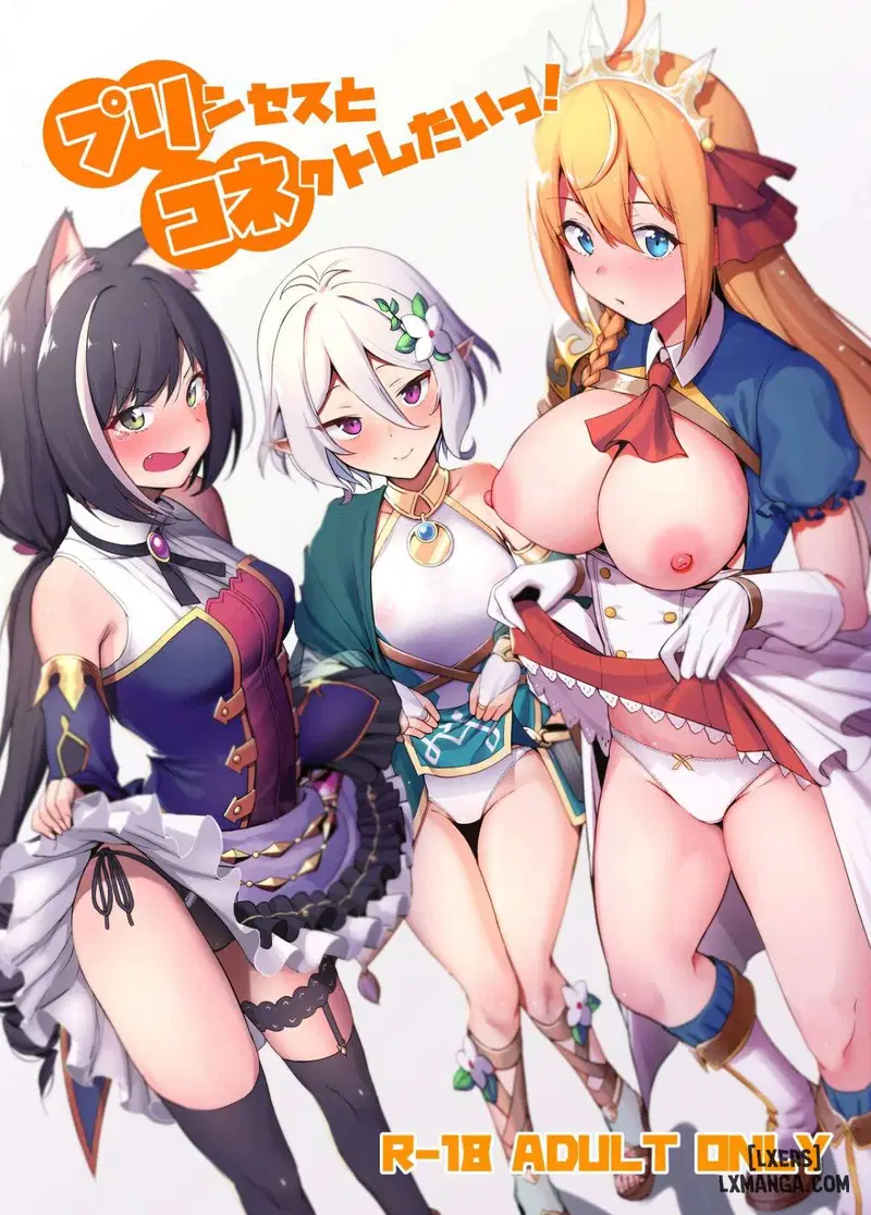 Princess to Connect Shitai! - Trang 1