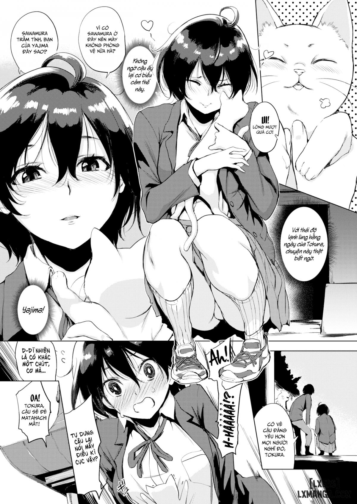 Tokura-san Loves Cat - Trang 4