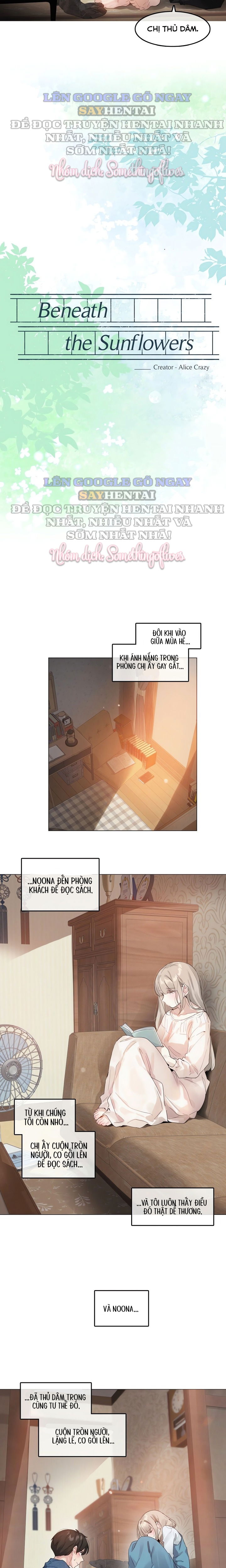 Mùa Hướng Dương Thầm Thì - Trang 6