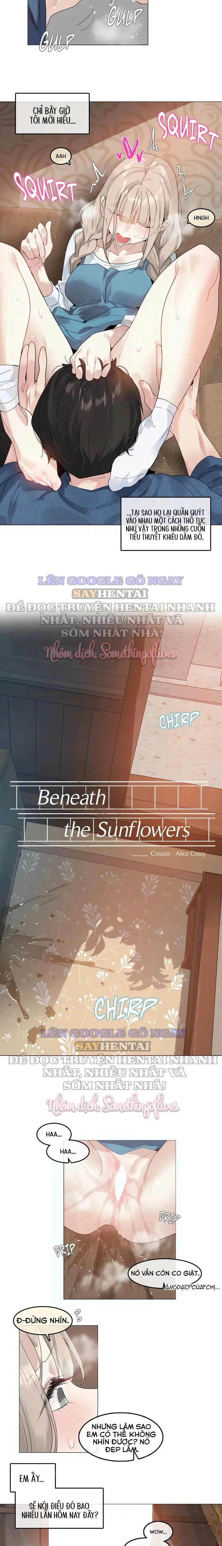 Mùa Hướng Dương Thầm Thì - Trang 4