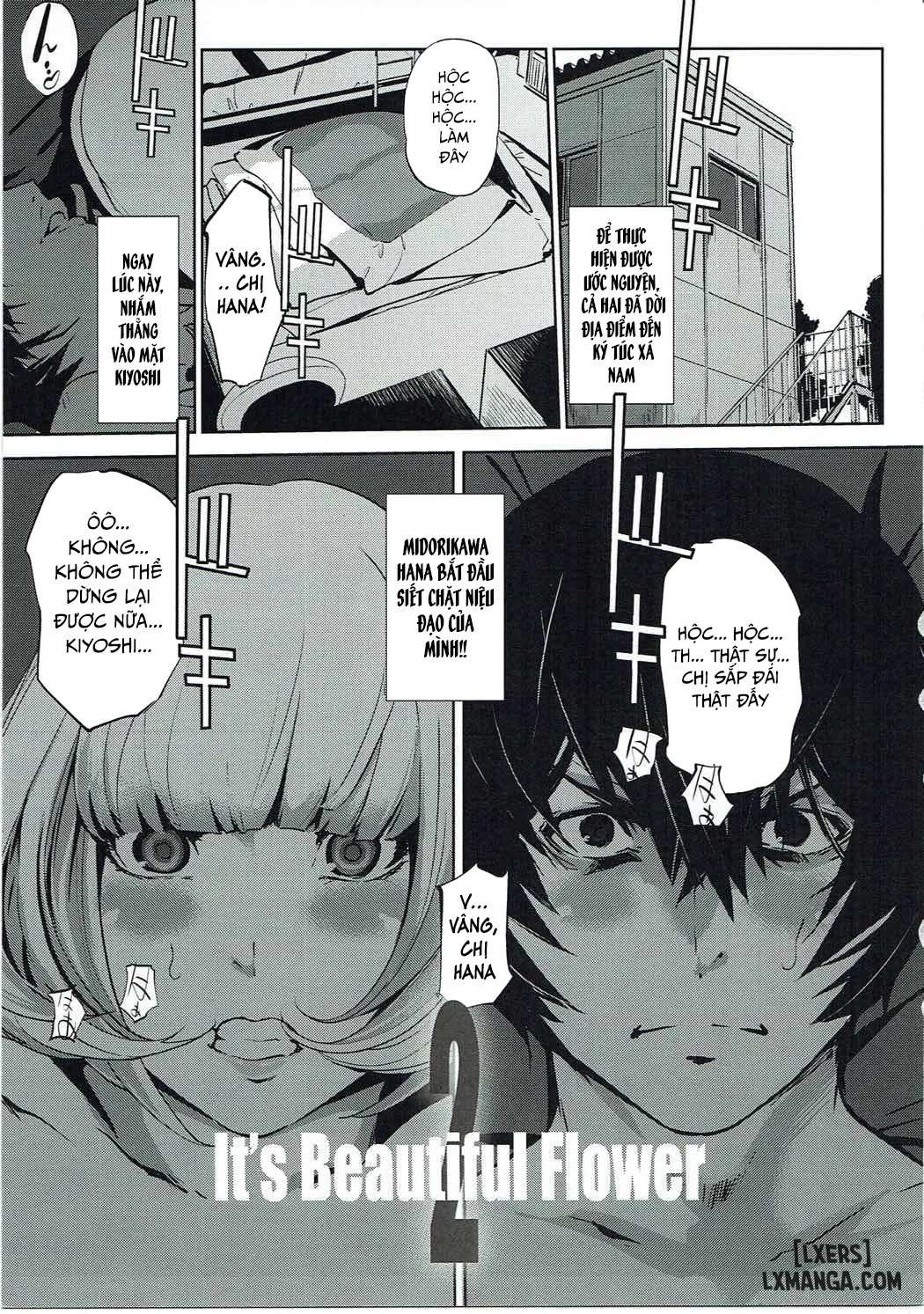 It's beautiful flowerr - Trang 5