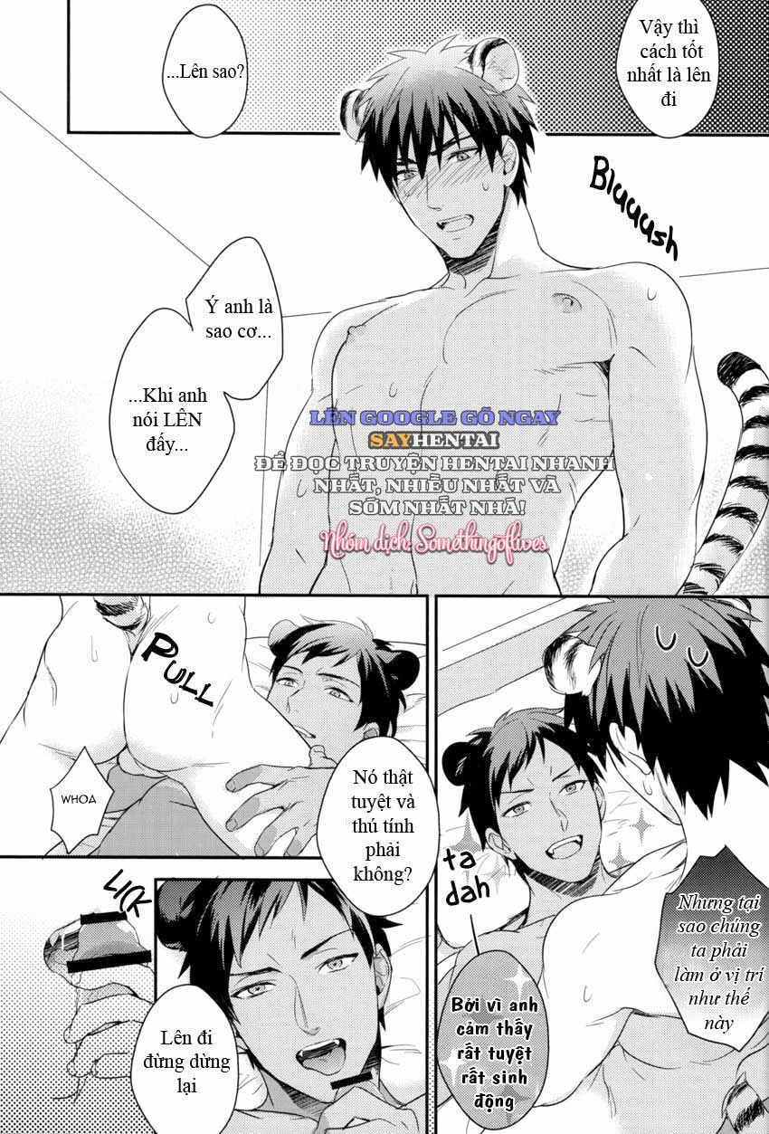 NÀY! Những Chàng Trai Bản Năng Hoang Dã!! - Trang 16