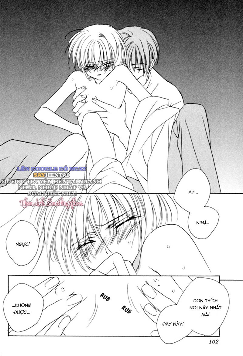 Yêu Anh Đến Tận Cùng Xin Đừng Buông Tay! - Trang 12