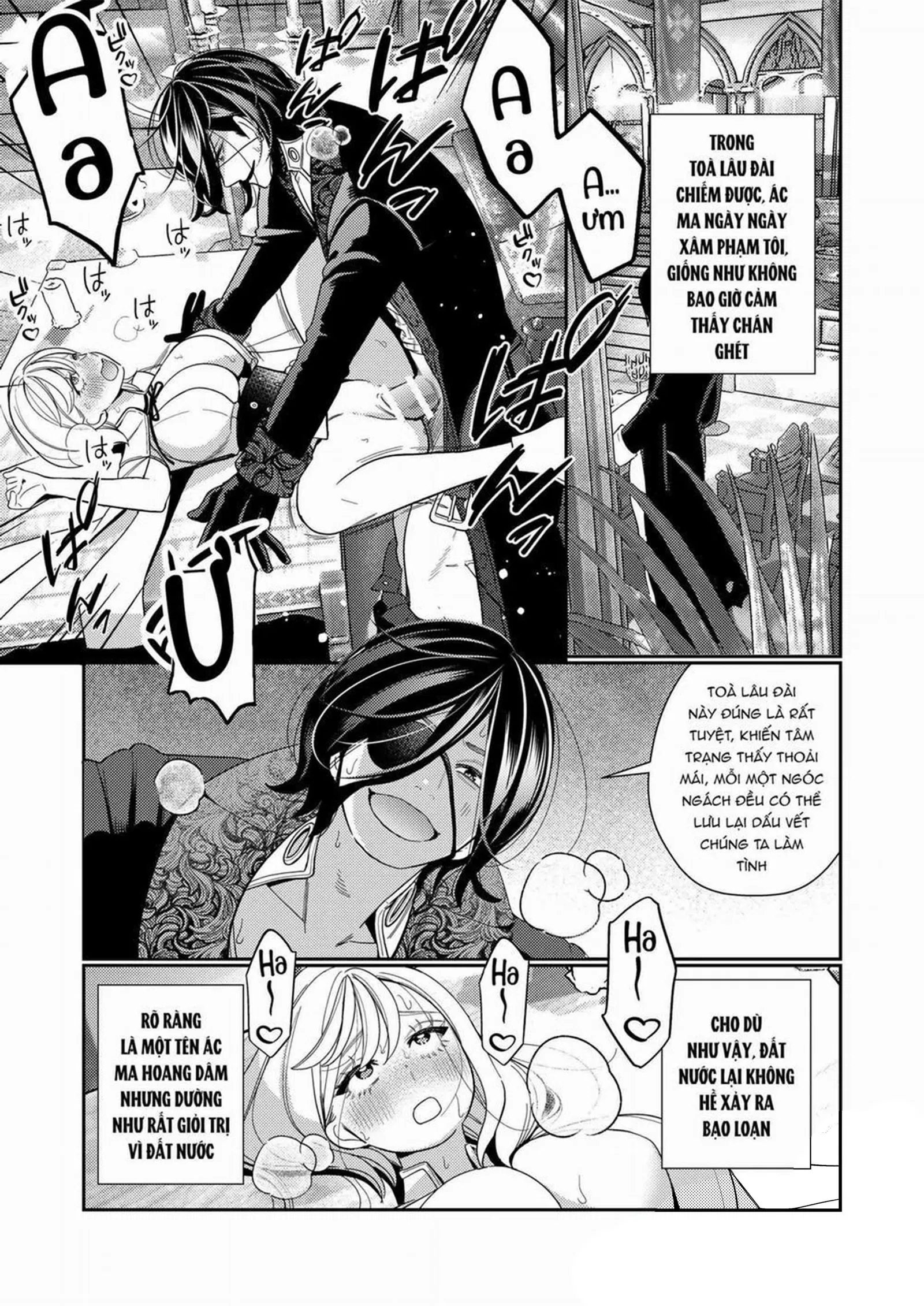 Thánh nữ bị quân vương nước địch chinh phục - Trang 14
