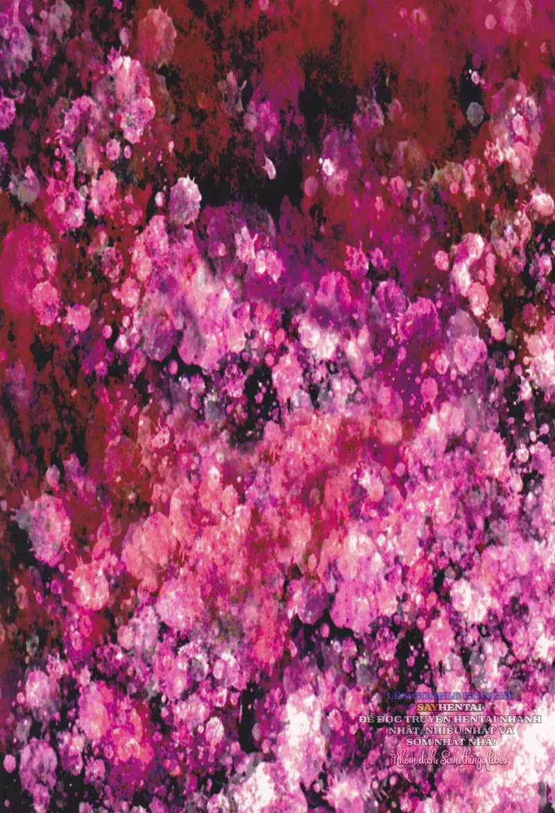 Dưới Sự Dẫn Lối Của Vầng Trăng Đen Huyền Bí - Trang 18