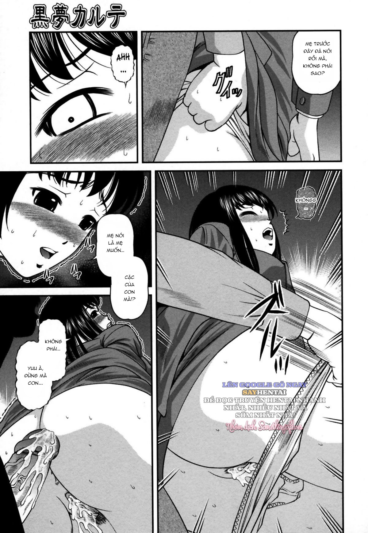 Hồ Sơ Trong Những Giấc Mơ Đen Hồ Sơ Số 16 Nàng Risa - Trang 11