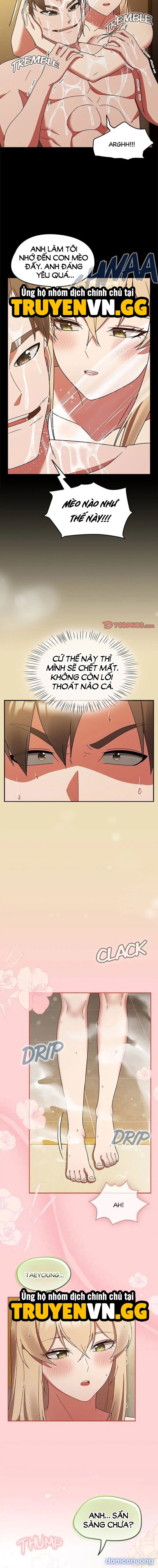 Máy Dập Boxing - Trang 3