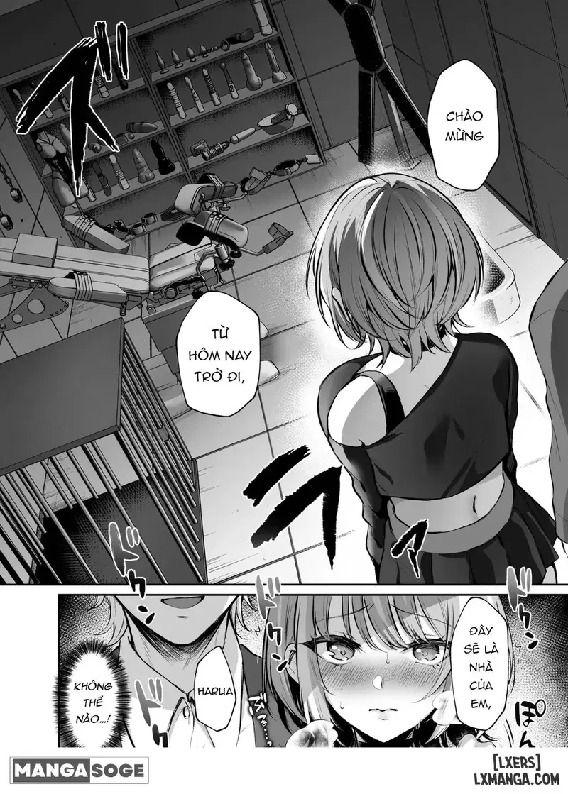 Hợp đồng nô lệ đầu tiên của tôi - Trang 2