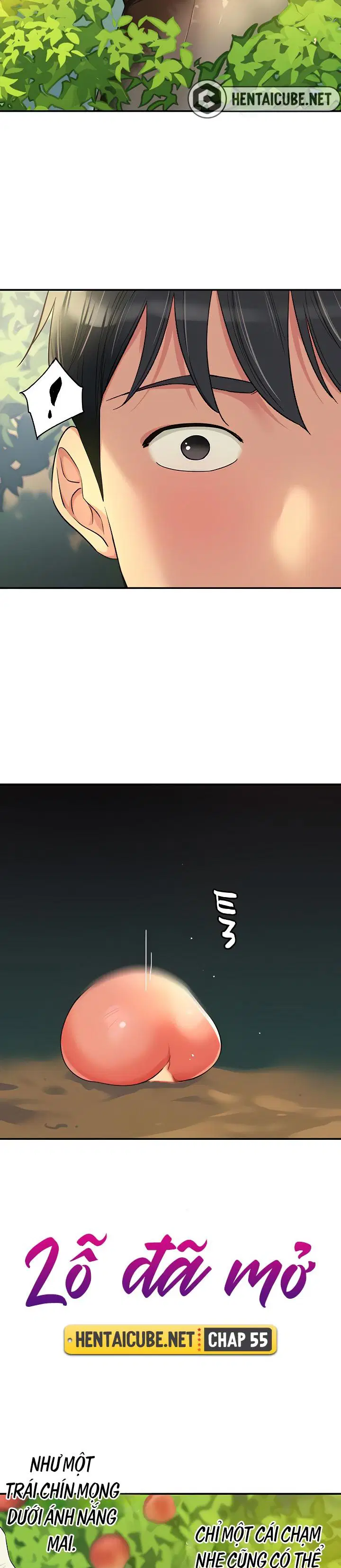 Lỗ đã mở - Trang 12