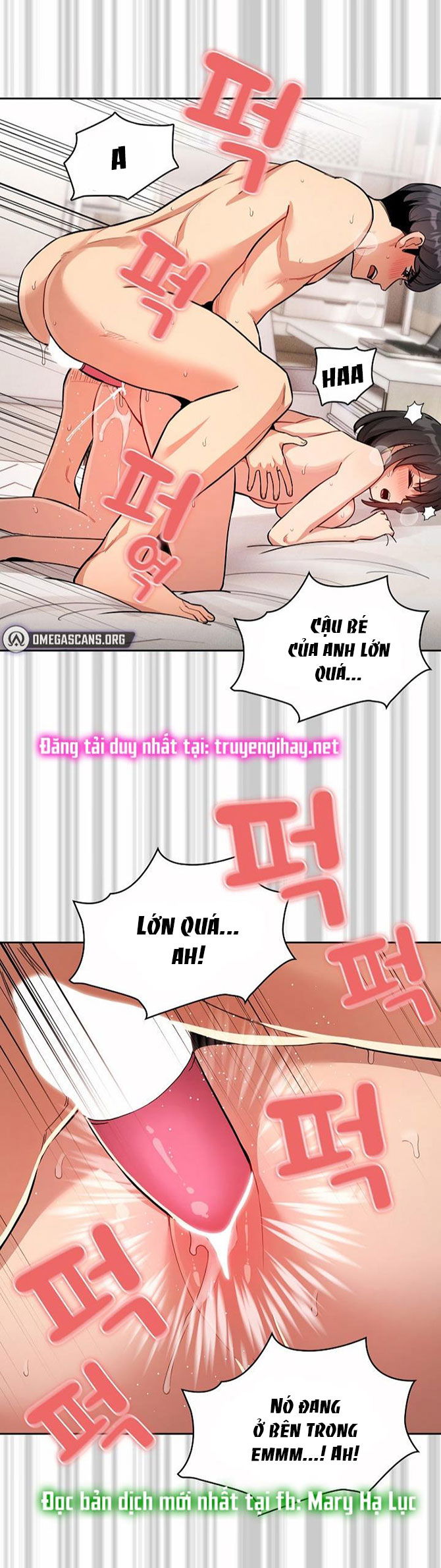 Gia sư mùa Hovid - Trang 31