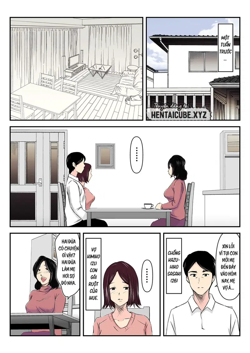 Nhờ mẹ vợ mang thai hộ - Trang 3