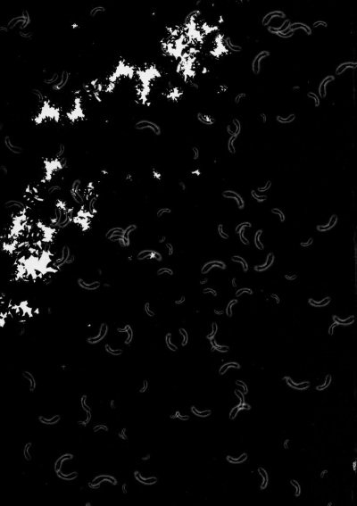 HAPPY END - Trang 21