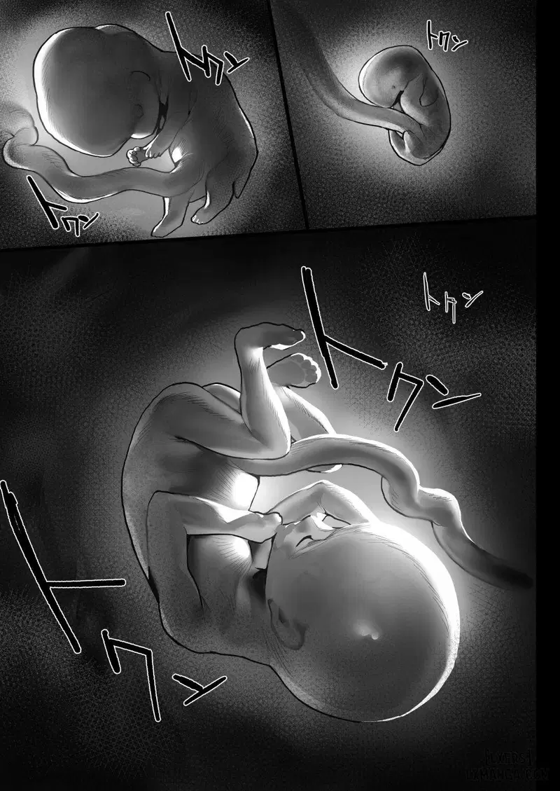 Ngủ ngon nhé, Onee-chan - Trang 14