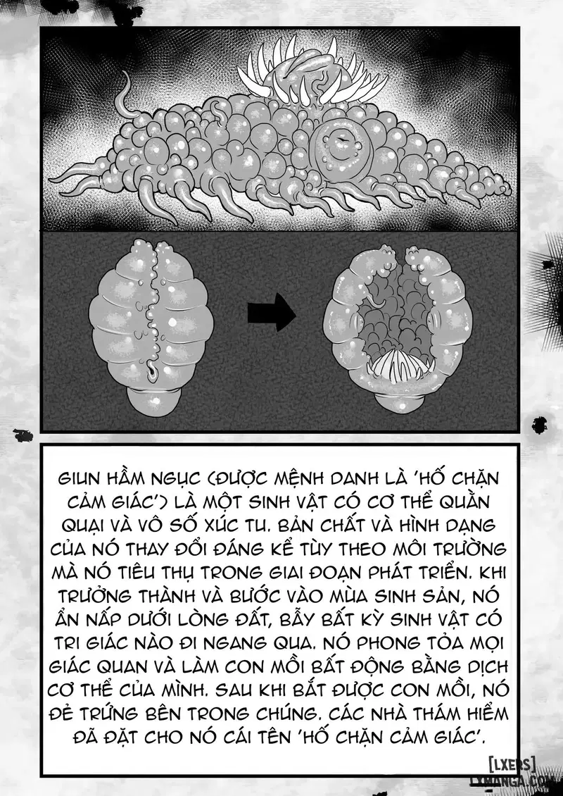 Frieren and the Sensory Deprivation Hole - Trang 14