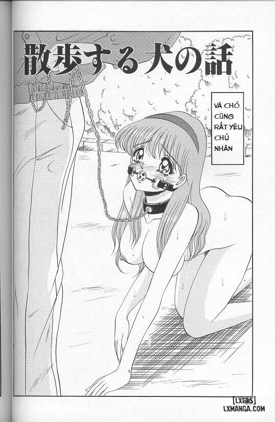 Chuyện Về Chú Chó Đi Dạo - Trang 2