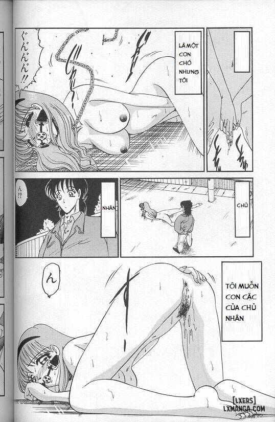 Chuyện Về Chú Chó Đi Dạo - Trang 12
