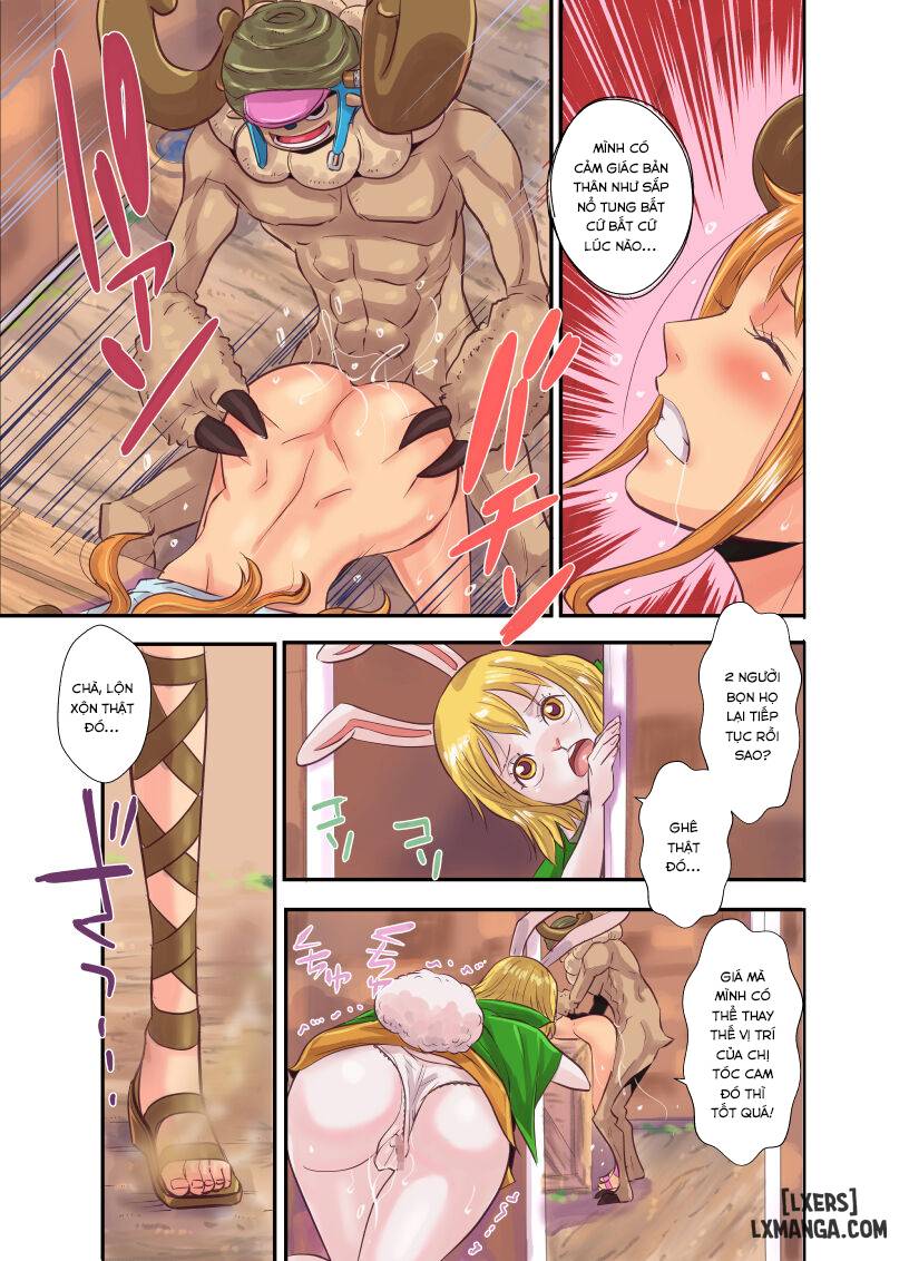 Chop stick 3 one piece- Truyện Màu - Trang 11