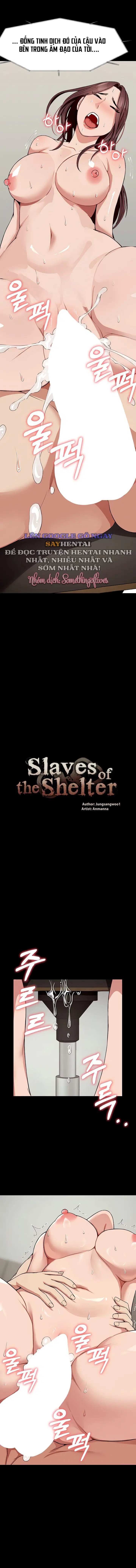 Nô lệ Hầm trú ẩn - Trang 2