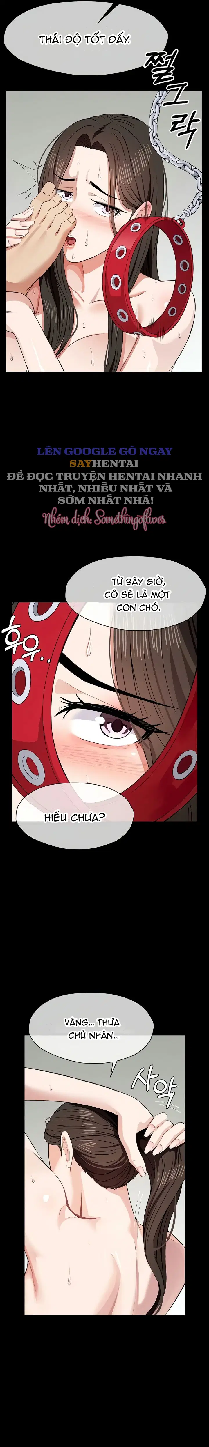 Nô lệ Hầm trú ẩn - Trang 7