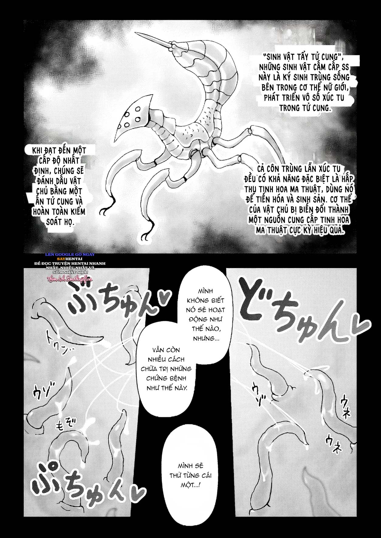 Phù thủy sa ngã và tử cung bị chiếm đoạt - Trang 10