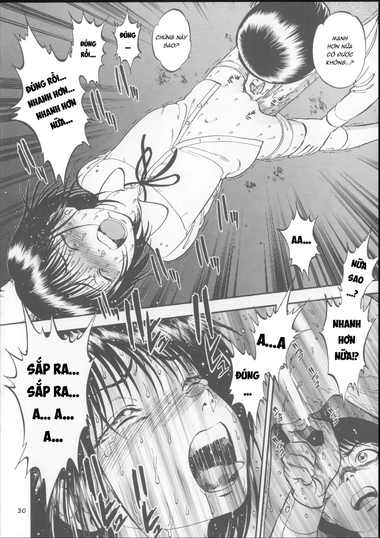 Hái Hạt Dẻ - Trang 10