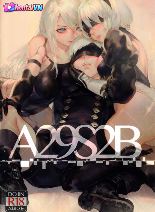 A29S2B