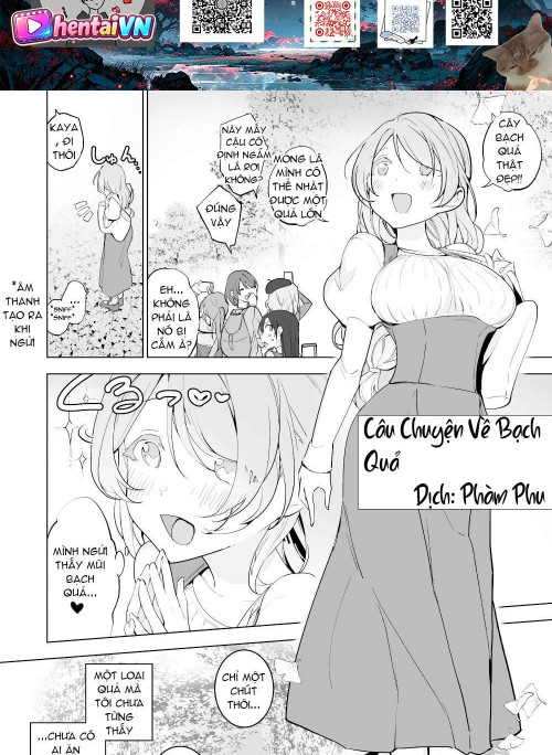 Câu Chuyện Về Bạch Quả