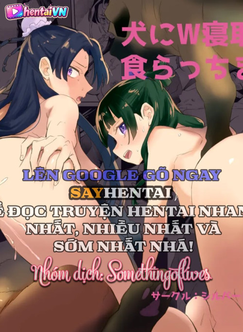 Hai chú chó, hai lần bị cắm sừng