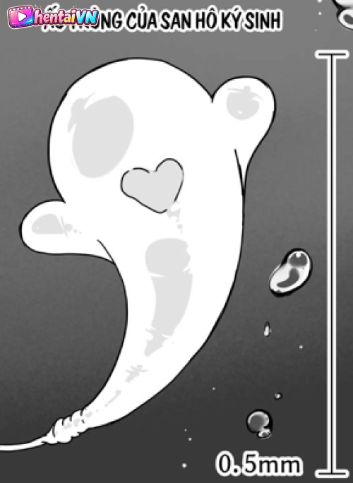 . kaikan kikan: kisei gata