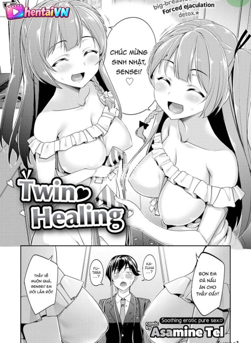 SInh Đôi Chữa Lành