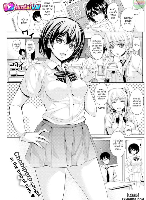 Under the Moonlit Night